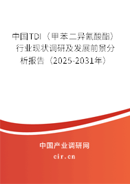 中國TDI（甲苯二異氰酸酯）行業現狀調研及發展前景分析報告（2025-2031年）