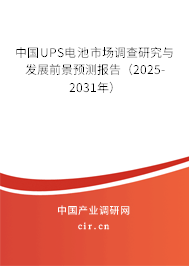 中國UPS電池市場調查研究與發展前景預測報告（2025-2031年）