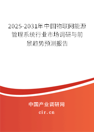2025-2031年中國物聯網能源管理系統行業市場調研與前景趨勢預測報告