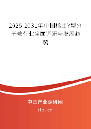 2025-2031年中國稀土Y型分子篩行業全面調研與發展趨勢