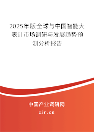 2025年版全球與中國智能大表計(jì)市場調(diào)研與發(fā)展趨勢預(yù)測分析報(bào)告