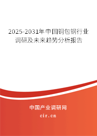 2025-2031年中國銅包鋼行業調研及未來趨勢分析報告