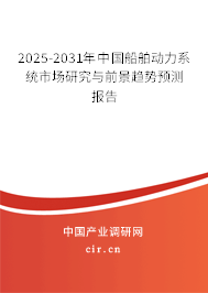 2025-2031年中國船舶動力系統市場研究與前景趨勢預測報告