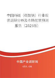 中國純堿（碳酸鈉）行業現狀調研分析及市場前景預測報告（2025版）
