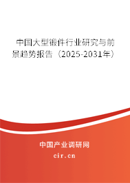 中國大型鍛件行業研究與前景趨勢報告（2025-2031年）