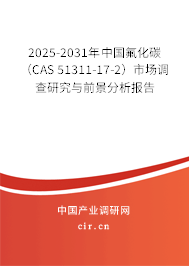 2025-2031年中國氟化碳（CAS 51311-17-2）市場調(diào)查研究與前景分析報告