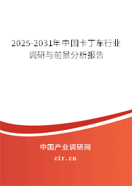 2025-2031年中國卡丁車行業(yè)調(diào)研與前景分析報(bào)告