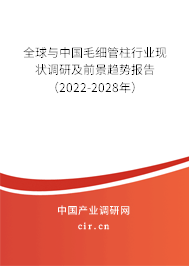 全球與中國毛細(xì)管柱行業(yè)現(xiàn)狀調(diào)研及前景趨勢報(bào)告（2022-2028年）