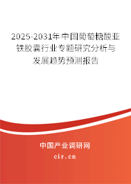 2025-2031年中國葡萄糖酸亞鐵膠囊行業專題研究分析與發展趨勢預測報告