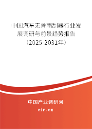 中國汽車無骨雨刮器行業(yè)發(fā)展調(diào)研與前景趨勢報(bào)告（2025-2031年）