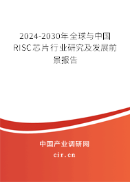 2024-2030年全球與中國RISC芯片行業研究及發展前景報告