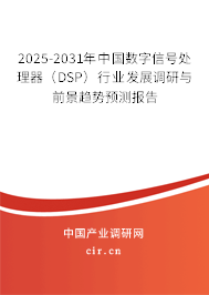 2025-2031年中國數字信號處理器（DSP）行業發展調研與前景趨勢預測報告