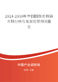 2024-2030年中國圖象處理器市場分析與發展前景預測報告