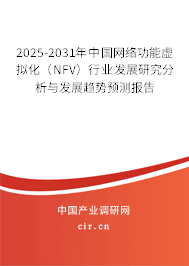 2025-2031年中國網(wǎng)絡(luò)功能虛擬化（NFV）行業(yè)發(fā)展研究分析與發(fā)展趨勢預(yù)測報(bào)告