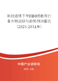 新冠疫情下中國網(wǎng)絡(luò)教育行業(yè)市場調(diào)研與趨勢預(yù)測報告（2024-2030年）