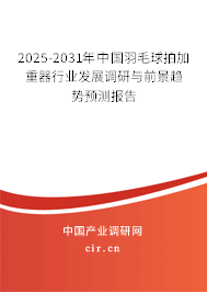 2025-2031年中國羽毛球拍加重器行業(yè)發(fā)展調(diào)研與前景趨勢預(yù)測報告