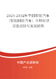2025-2031年中國智能汽車（智能網聯汽車）市場現狀深度調研與發展趨勢