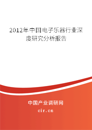 2012年中國電子樂器行業深度研究分析報告