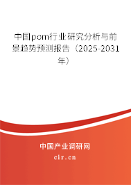 中國pom行業研究分析與前景趨勢預測報告（2025-2031年）