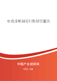水線漆項目可行性研究報告