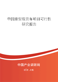 中國重型載貨車項目可行性研究報告