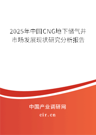 2025年中國CNG地下儲氣井市場發(fā)展現(xiàn)狀研究分析報告