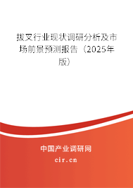 拔叉行業現狀調研分析及市場前景預測報告（2025年版）