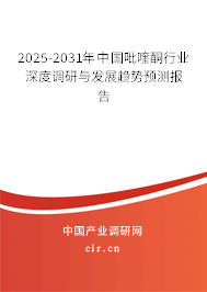 2025-2031年中國吡喹酮行業深度調研與發展趨勢預測報告