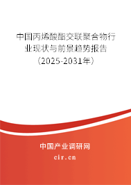 中國丙烯酸酯交聯聚合物行業現狀與前景趨勢報告（2024-2030年）