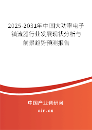 2025-2031年中國大功率電子鎮流器行業發展現狀分析與前景趨勢預測報告