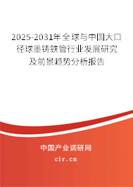 2025-2031年全球與中國大口徑球墨鑄鐵管行業發展研究及前景趨勢分析報告
