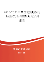 2025-2031年中國地熱地板行業研究分析與前景趨勢預測報告