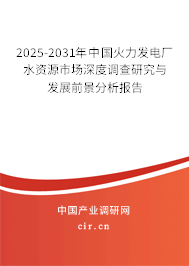 2025-2031年中國火力發電廠水資源市場深度調查研究與發展前景分析報告