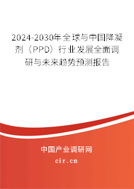 2024-2030年全球與中國降凝劑（PPD）行業發展全面調研與未來趨勢預測報告