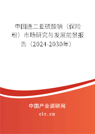 中國連二亞硫酸鈉（保險粉）市場研究與發展前景報告（2024-2030年）