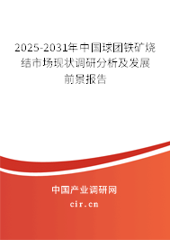 2025-2031年中國球團(tuán)鐵礦燒結(jié)市場(chǎng)現(xiàn)狀調(diào)研分析及發(fā)展前景報(bào)告