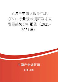 全球與中國太陽能電池（PV）行業現狀調研及未來發展趨勢分析報告（2025-2031年）