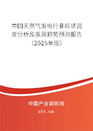 中國天然氣發電行業現狀調查分析及發展趨勢預測報告（2025年版）