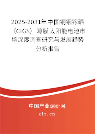 2025-2031年中國(guó)銅銦鎵硒（CIGS）薄膜太陽(yáng)能電池市場(chǎng)深度調(diào)查研究與發(fā)展趨勢(shì)分析報(bào)告