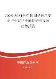 2025-2031年中國網絡信息安全行業現狀全面調研與發展趨勢報告