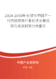 2024-2030年全球與中國(guó)下一代內(nèi)鏡成像行業(yè)現(xiàn)狀全面調(diào)研與發(fā)展趨勢(shì)分析報(bào)告