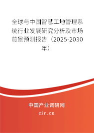 全球與中國智慧工地管理系統行業發展研究分析及市場前景預測報告（2025-2030年）