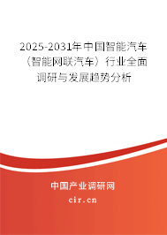 2025-2031年中國智能汽車（智能網聯汽車）行業全面調研與發展趨勢分析
