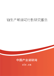 鉑生產項目可行性研究報告