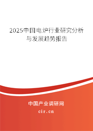 2025中國電爐行業(yè)研究分析與發(fā)展趨勢報告