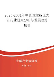 2023-2029年中國減輪胎壓力計行業研究分析與發展趨勢報告